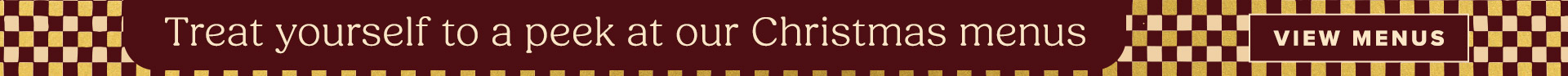 pcp-2025-christmas-thin-banner.jpg